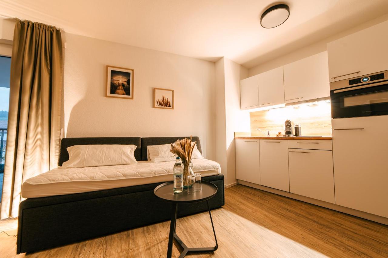 Apartment Zentrahome - Zentral Outlet Business Smarttv Balkon Metzingen (Tubingen)